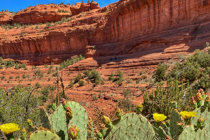Sedona Sacred Canyons Loop Hike With a Private Guide - Nourishing Snacks and Drinks