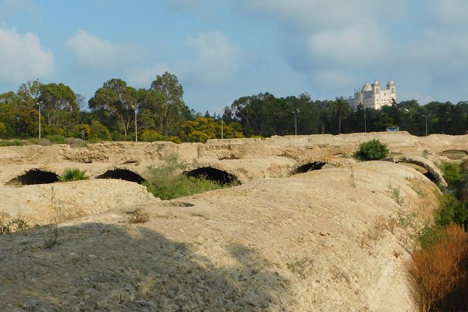 Self Guided Bike Tour of Carthage Archeological Site - Accessibility and Participation