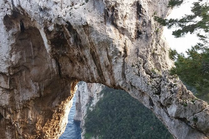 Semi-Guided Capri Tour From Capri Pier at 10,15 - Optional Activities
