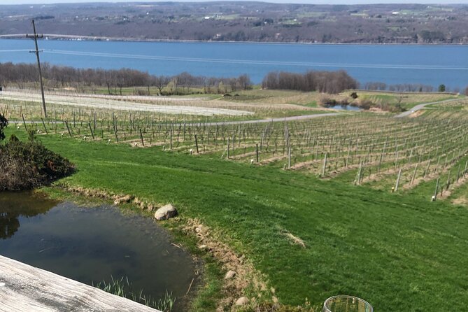 Seneca Lake South Wine Tastings Tour - Discovering Seneca Lake Wineries