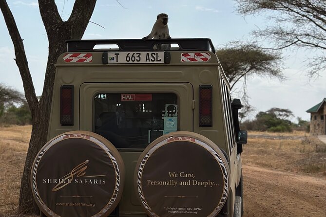 Serengeti 2-Day Safari From Mwanza - Dining Options