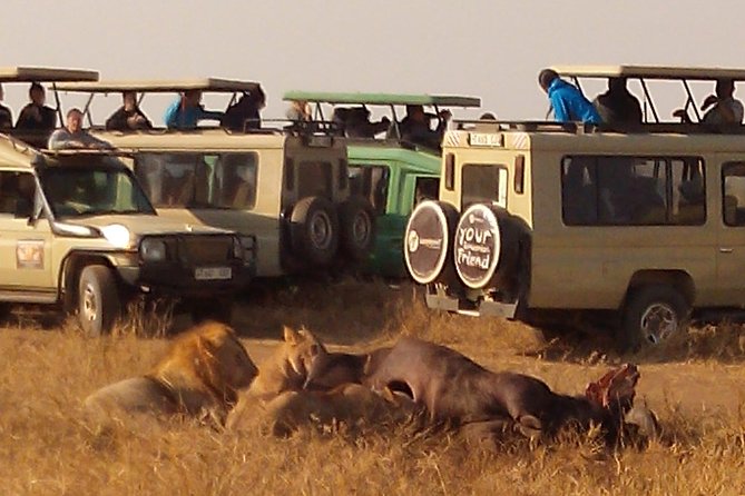 Serengeti National Park 4 Days Safari Camping - Inclusions and Amenities