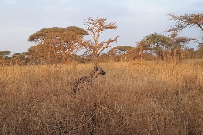 Serengeti & Ngorongoro 3 Days Private Tour - Pricing Details