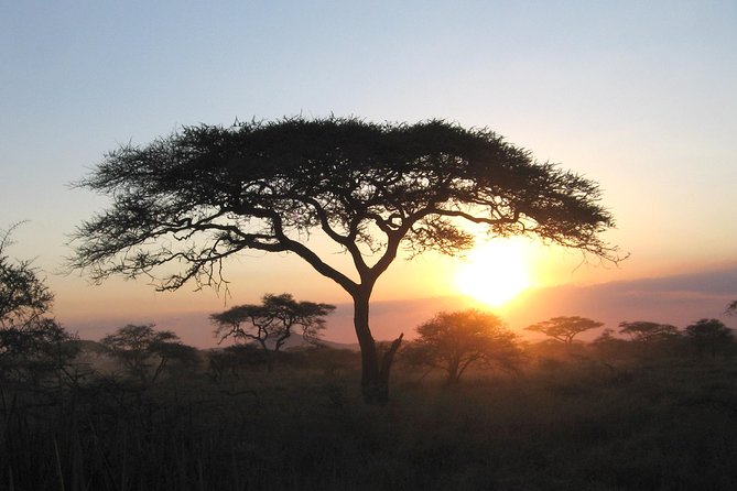 Serengeti Tour – 7days/6 Nights (4 Stars Accommodations) - Pricing Information