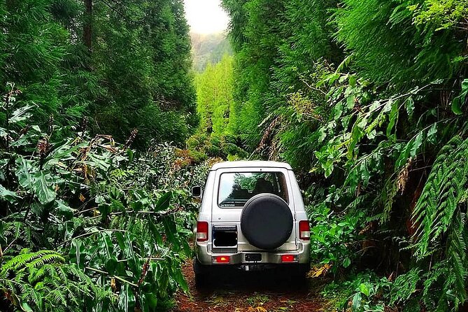 Sete Cidades - Nature Lovers - Private Jeep Tour With Local Guide - Logistics