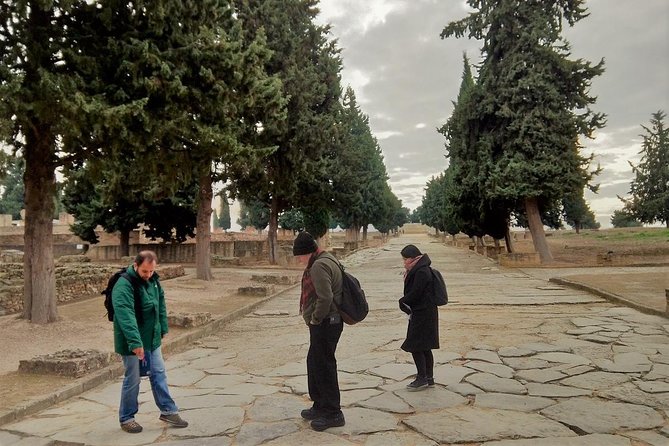 Seville: Games of Thrones and Roman Empire Italica Tour - Meeting and Accessibility