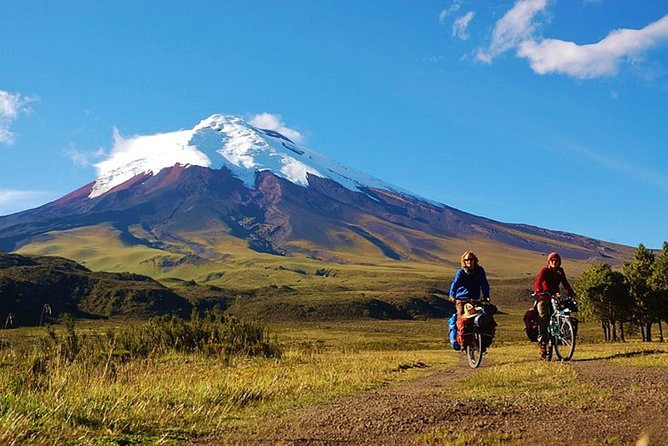 Shared Cotopaxi National Park Tour From Quito - Wildlife and Vegetation