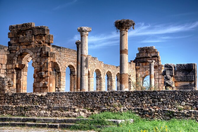 Shared Day Trip From Volubilis, Moulay Idriss and Meknes - Transportation Experience