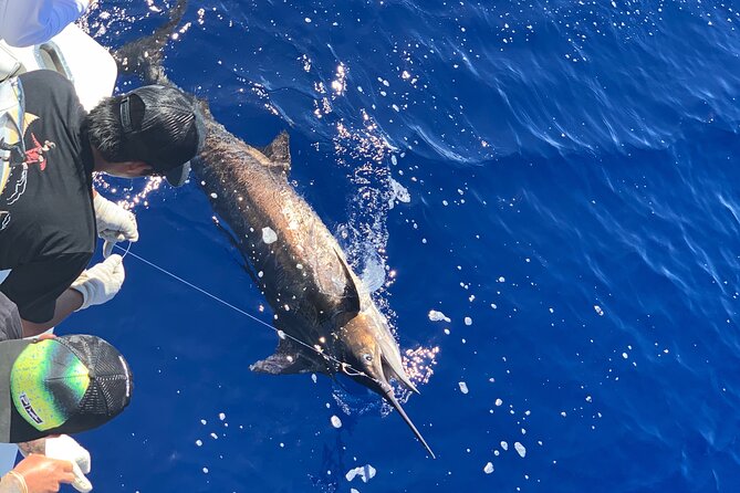 Shared Deep Sea Full-Day Fishing Charter in Hawaiian Waters - Included Fishing Gear and Supplies
