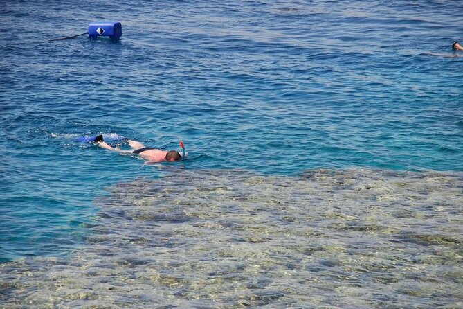 Sharm El Sheikh: Ras Mohammed and White Island VIP Boat Sea Trip - Meeting and Pickup Details