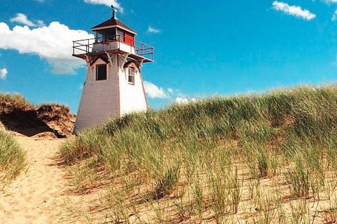 Shore Excursion: Charlottetown Highlights & Delights - Availability and Pricing