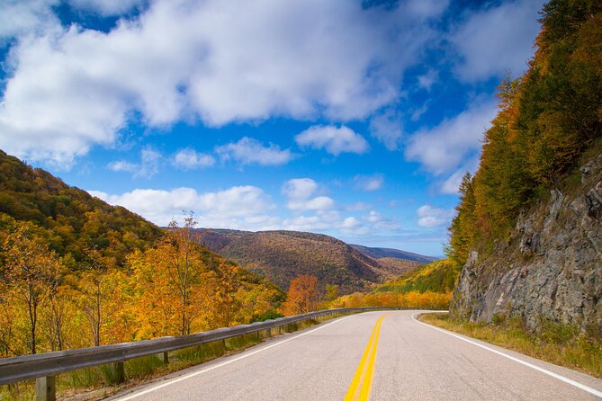 Shore Excursion of The Cabot Trail in Cape Breton - Accessibility and Participation