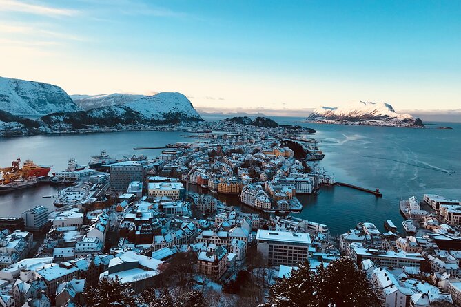 Shore Excursions Ålesund: Highlights Ålesund & Islands - Included Amenities
