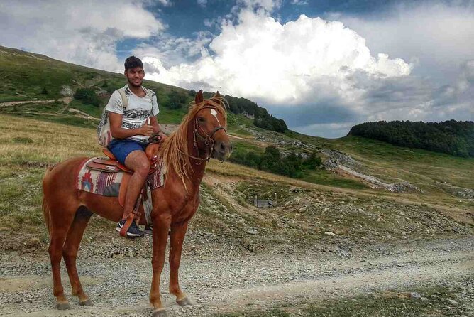 Short Horseback Riding - Kolasin - Health and Accessibility