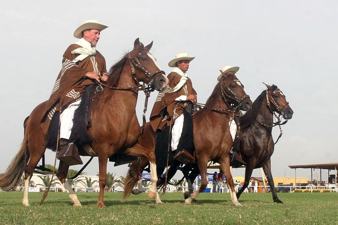 Show of Peruvian Paso Horse & Marinera With Lunch - Schedule and Duration