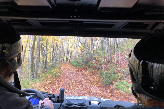Side-by-Side (UTV) Trail Tour - Evening Tour to Cape Clear - Tour Accessibility and Participation