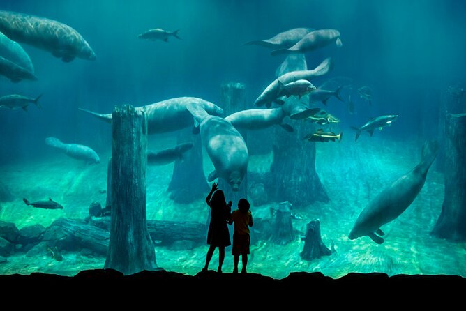 Singapore: River Wonders Entry Ticket - Visitor Experience Insights