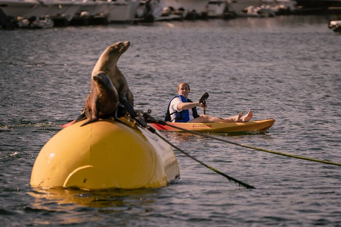 Single Kayak Rental in Mission Bay - Health Considerations