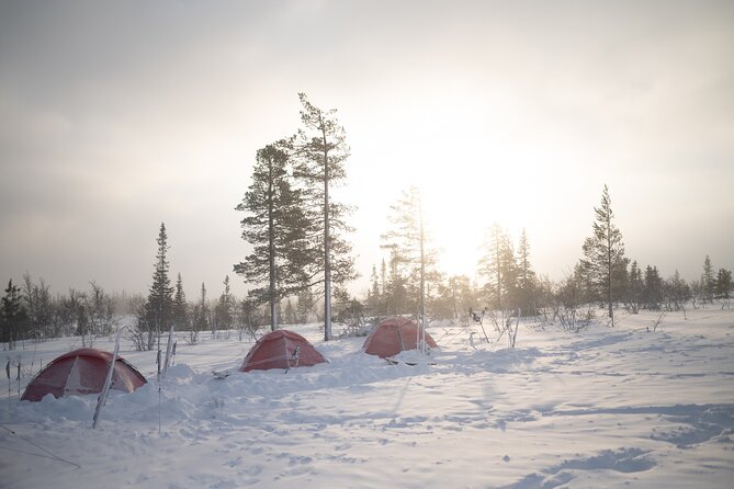Ski Touring and Winter Fun in Fulufjallet Mountain Plateau - Shared Amenities for Cozy Camping