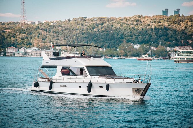 Skip Line Old Town Tour With Bosphorus Yacht Ride - Verified Review Breakdown