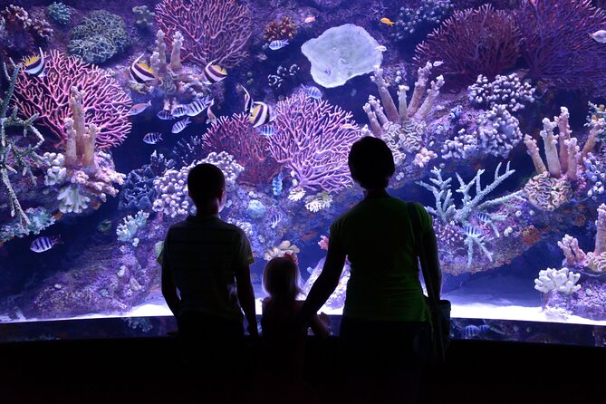Skip the Line: Antalya Aquarium Ticket - Operating Hours
