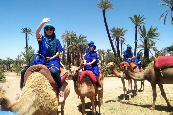 Skip the Line at : Majorelle Garden and Palm Garden. - Essential Inclusions for Your Tour