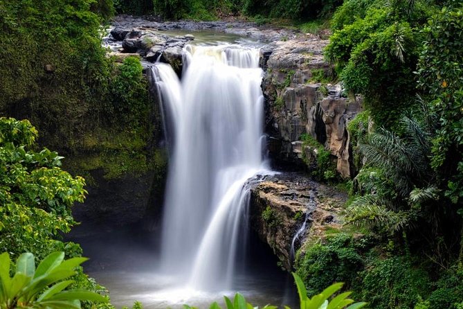 Skip-the-Line: Ubud Tour - All Inclusive Tickets - Customer Support