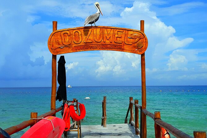 SkyReef Cozumel Snorkel & Tequila Tasting - Accessibility and Additional Information