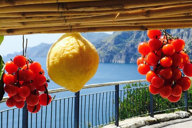 Small Group Amalfi Coast Tour Review - Schedule and Accessibility