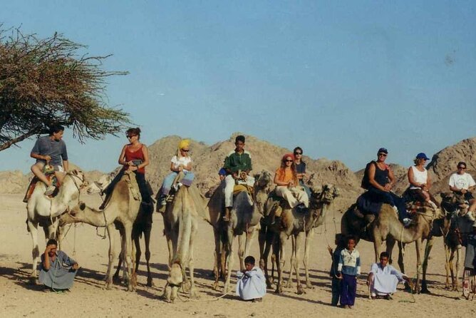 Small Group Full Day Hurghada Experience With BBQ and Show - Accessibility and Health Considerations