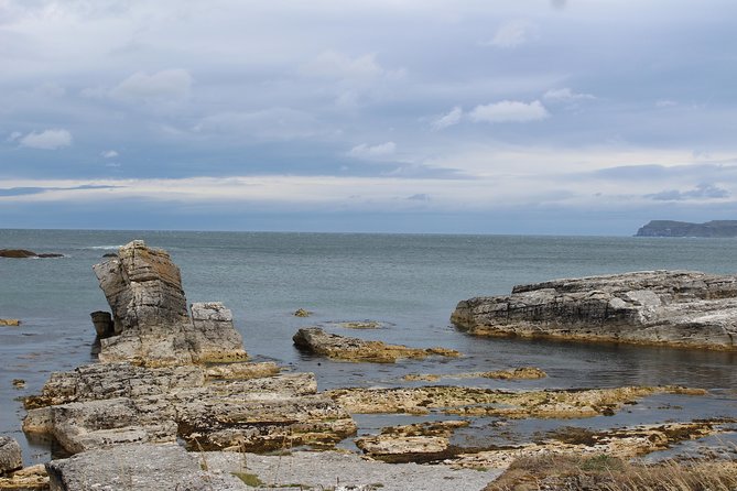 Small Group Giants Causeway Day Tour From Belfast - Northern Irish Countryside