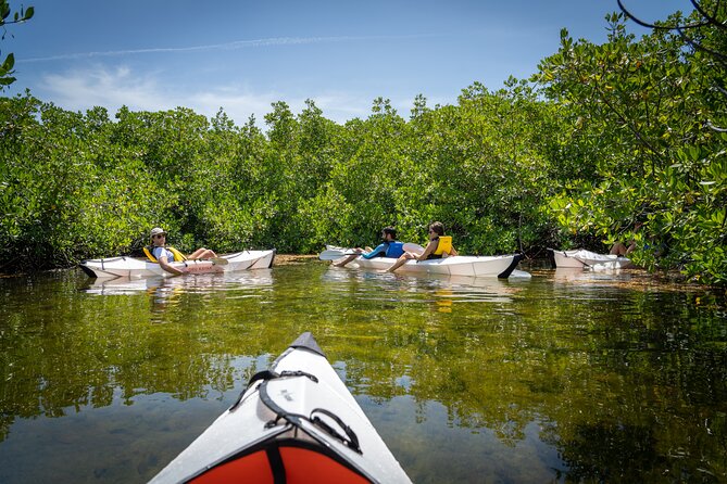 Small Group Glass Bottom Kayak Adventure- Cayman Islands - Meeting and End Points