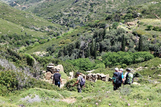 Small-Group Guided Hiking Tour in Andros With Picnic on the Beach - Meeting Point and Scheduling