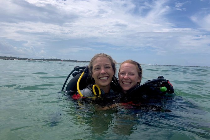 Small Group Guided Shore Dives in St. Andrews State Park, Florida - Dive Schedule and Equipment