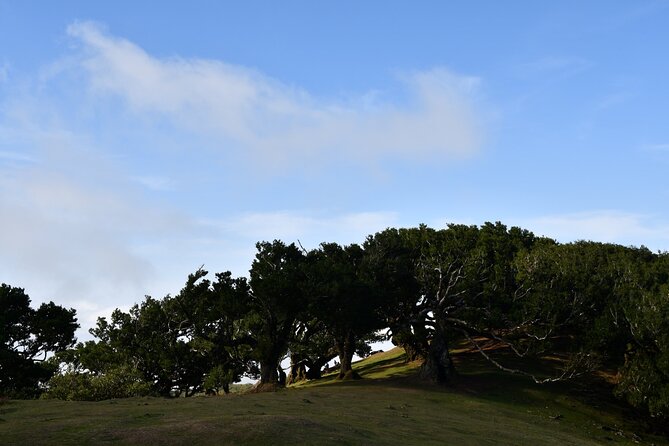 Small Group Guided Sightseeing Tour Visit to Fanal - Tour Experience