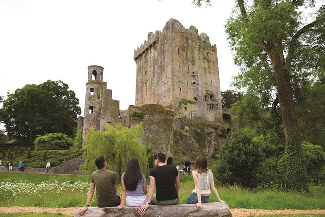 (Small Group) Shore Tour From Cork: Blarney Castle & Jameson Distillery - Reviews and Feedback