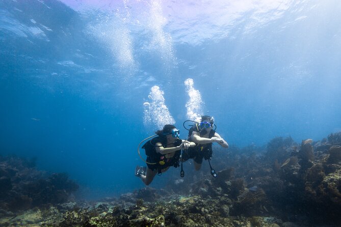 Small - Guided Shallow 2 Tank Dive Experience in Key Largo ALL GEAR INCLUDED - Participant Requirements