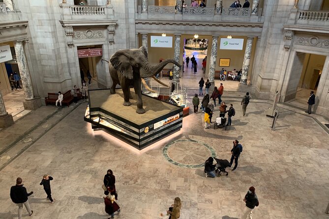 Smithsonian National Museum of Natural History With Guided Tour - Traveler Experiences and Feedback