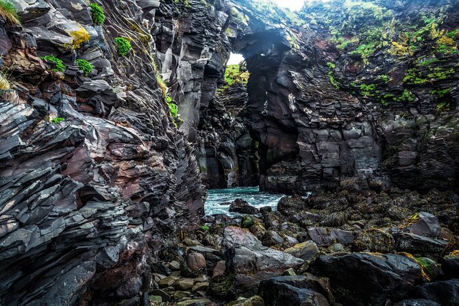 Snaefellsnes Peninsula & Dinner at Lava Resort Restaurant - Participant Information