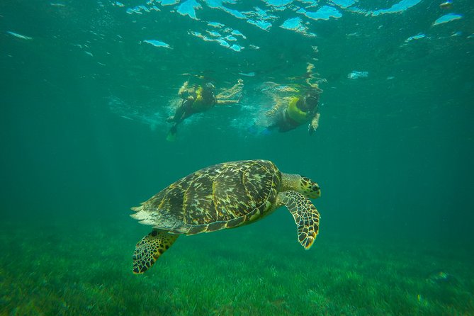 Snorkel and Parasail Cancun - Tour Capacity and Booking
