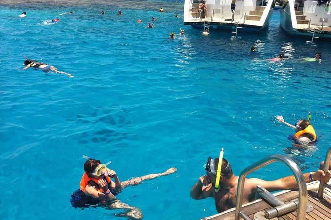 Snorkeling and White Island Tour in Sharm El Sheikh - Positive Review Highlights