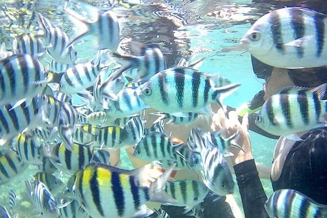 Snorkeling Tour In Gili Nanggu - Inclusions and Amenities