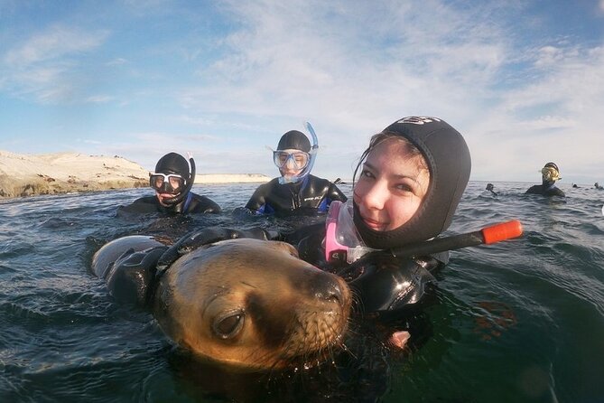 Snorkeling With Sea Lions and Wildlife Adventure - Inclusions and Meeting Details