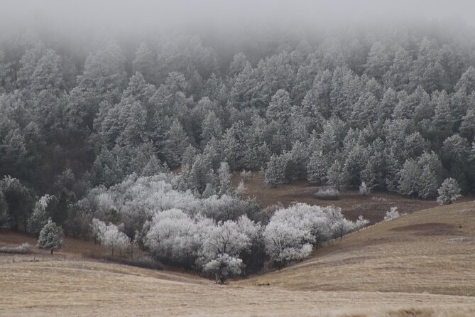Snow-Capped Escapes: Black Hills in Winter - Outdoor Adventure Activities