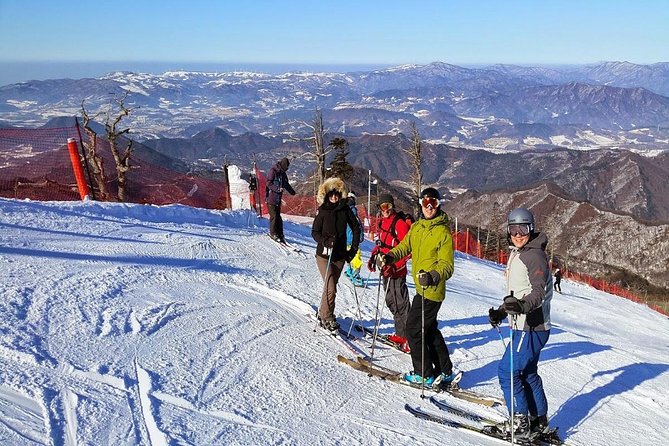 Snow or Ski Day Trip to Yongpyong Resort From Seoul - Ski Resort Options