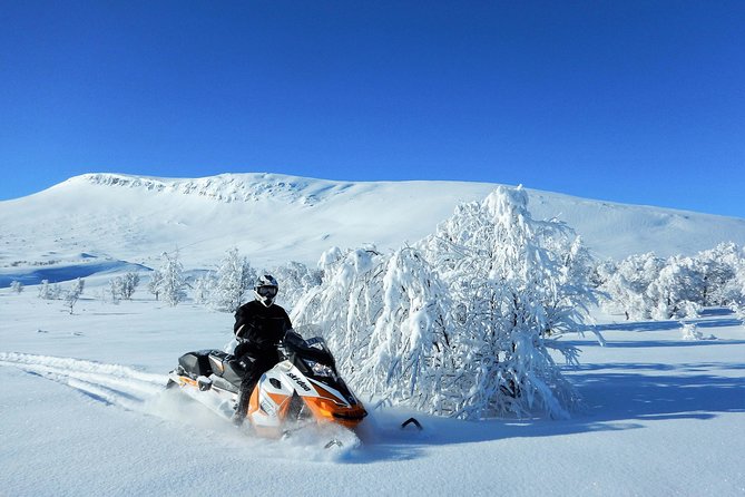 Snowmobile Adventure in Swedish Lapland (Day Tour) - Tips for Your Adventure