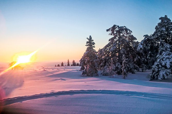 Snowmobile Safari in the Nature - Participation Requirements