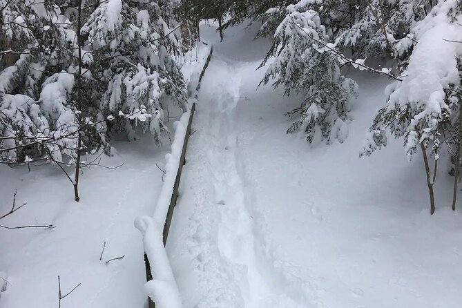 Snowshoe Awenda Provincial Park on Beautiful Georgian Bay - Health Considerations