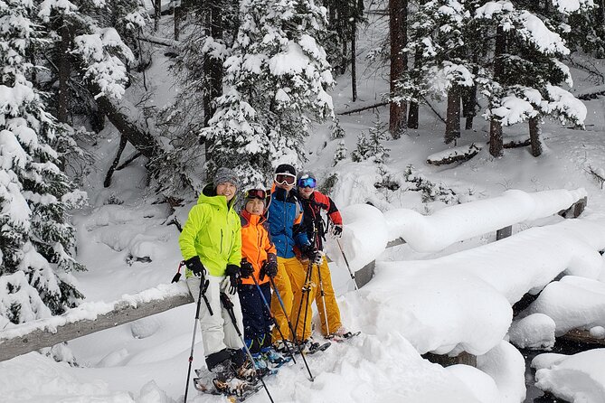 Snowshoe or XC Ski in North Yellowstone (Half Day) - Meeting and Pickup
