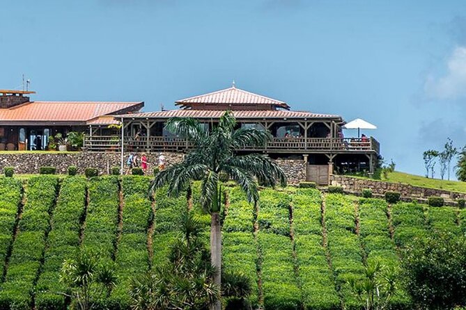 South of Mauritius : LYCHEE WINE Tasting & Tea Route With Lunch - Accessibility Options